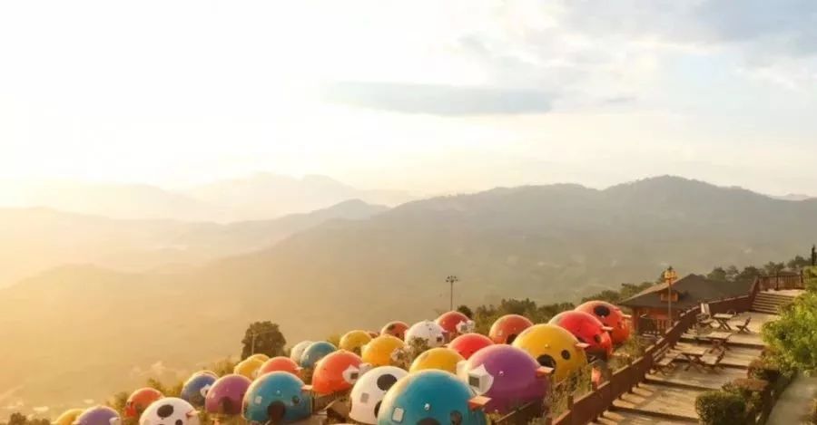 微信图片_20190429113724.png