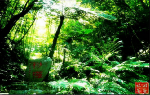 1577070648906501.png image.png