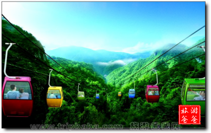 1577345923819555.png image.png
